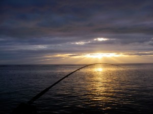 sunset-rod-small